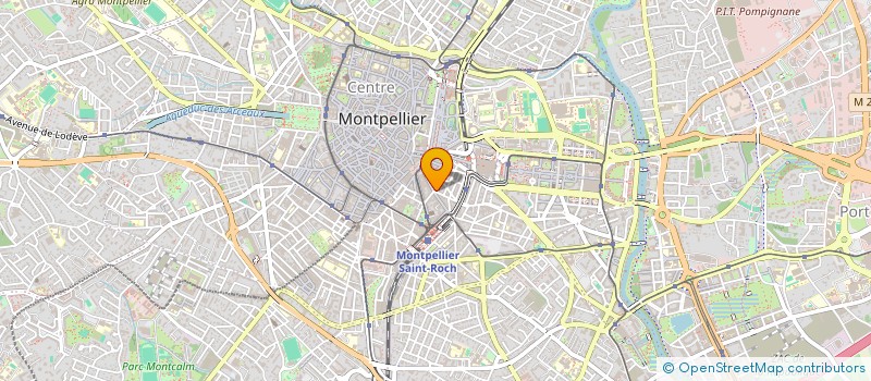 localisation de l'entreprise LE PALMIER II à MONTPELLIER
