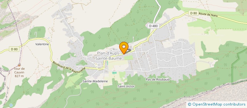 localisation de l'entreprise LE PANIER DE SARAH  PLAN-D'AUPS-SAINTE-BAUME