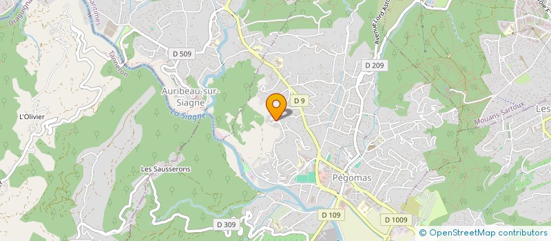 localisation de l'entreprise LE PANORAMA  PEGOMAS