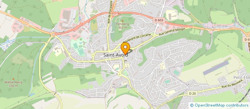 localisation de l'entreprise LE PASSAGE à SAINT-AVOLD