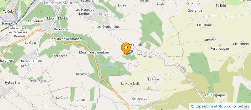 localisation de l'entreprise LE PEPIN ET LA PLUME  LA ROCHE-MAURICE