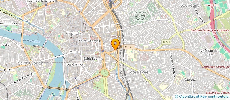 localisation de l'entreprise LE PETIT CAPITOLE  TOULOUSE