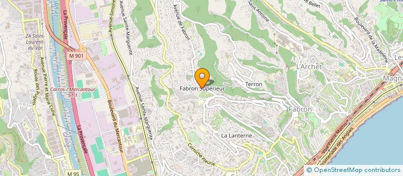 localisation de l'entreprise LE PETIT LEVENS à NICE
