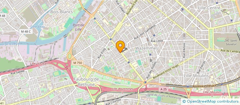 localisation de l'entreprise LE PETIT MARCHE à LILLE