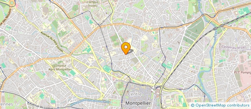 localisation de l'entreprise LE PETIT MARCHE DE BOUTONNET à MONTPELLIER