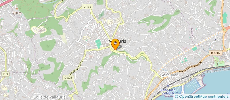 localisation de l'entreprise LE PETIT ORIENT à VALLAURIS