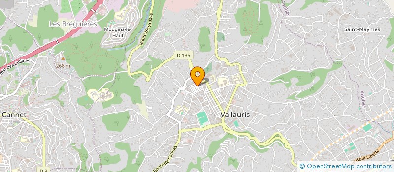 localisation de l'entreprise LE PETIT VALLAURIS  VALLAURIS