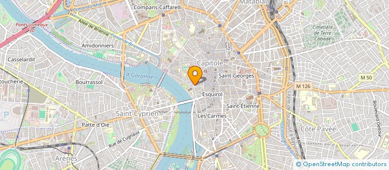 localisation de l'entreprise LE PETIT VOISIN  TOULOUSE