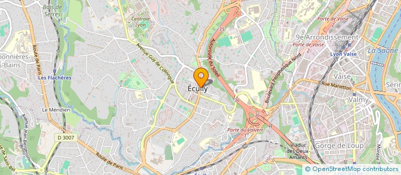 localisation de l'entreprise LE PHOENIX  ECULLY