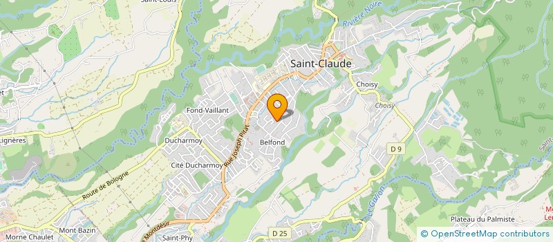 localisation de l'entreprise LE PIGEON D'ARGENT à SAINT-CLAUDE