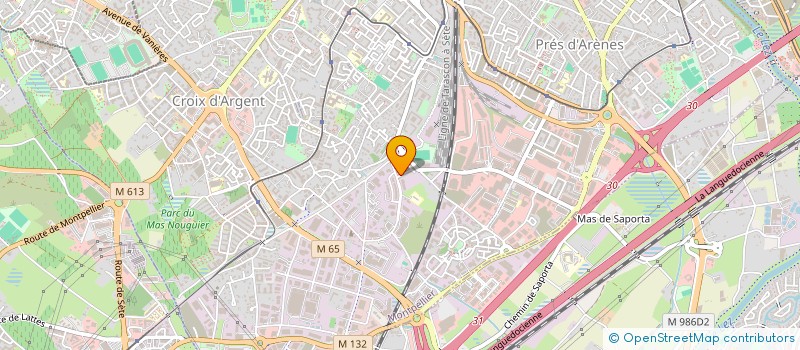 localisation de l'entreprise LE PITAYA à MONTPELLIER