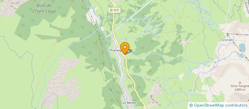 localisation de l'entreprise LE PLAN DU CHAMP  LES BELLEVILLE