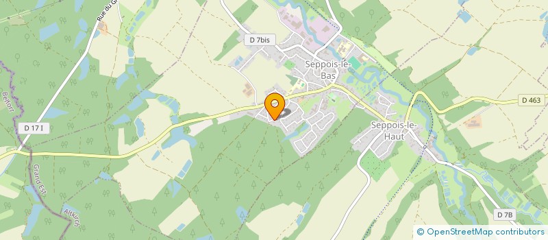 localisation de l'entreprise LE PLATANE  SEPPOIS-LE-BAS