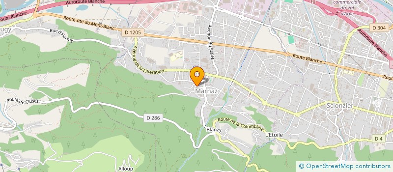 localisation de l'entreprise LE PLOMBIER 74  MARNAZ