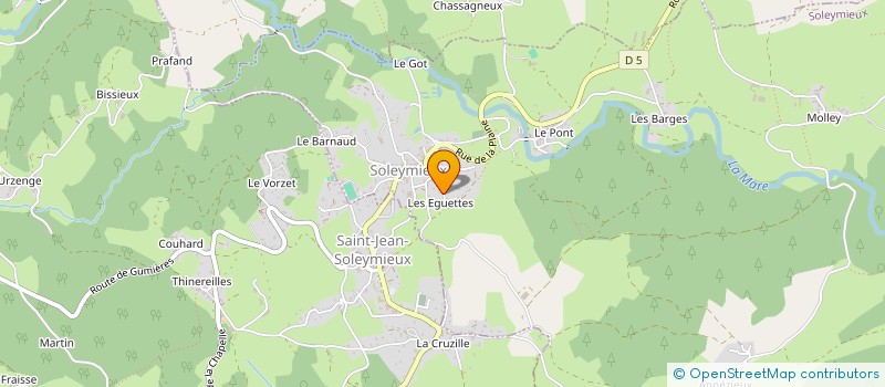 localisation de l'entreprise LE POIL BLEU  SAINT-ETIENNE