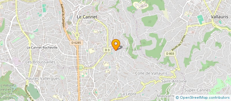 localisation de l'entreprise LE PRINCE DE CANNES  CANNES