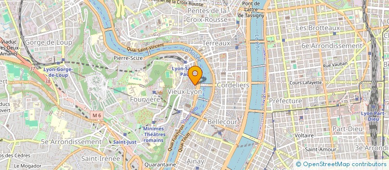 localisation de l'entreprise LE PUB DE LA BALEINE  LYON