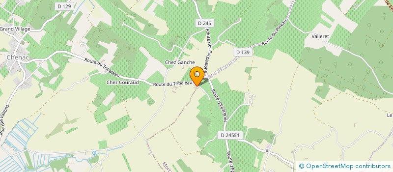 localisation de l'entreprise LE PUITS FLEURI  CHENAC-SAINT-SEURIN-D'UZET