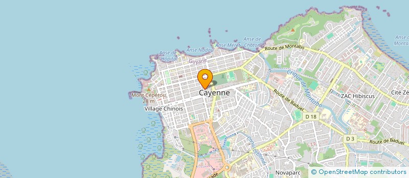 localisation de l'entreprise LE RASSEMBLEMENT POUR LA REPUBLIQUE  CAYENNE