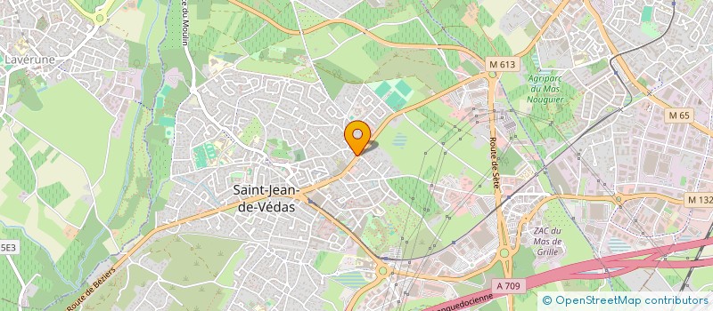 localisation de l'entreprise LE RAYON DE L'AUTOMOBILE  SAINT-JEAN-DE-VEDAS