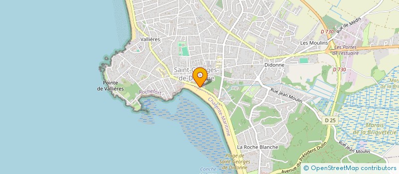 localisation de l'entreprise LE RAYON VERT à SAINT-GEORGES-DE-DIDONNE