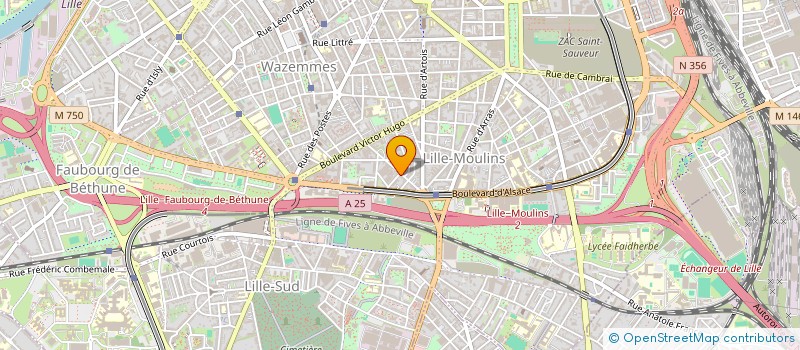 localisation de l'entreprise LE RAYONNEMENT CULTUREL POLONAIS à LILLE