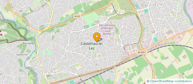 localisation de l'entreprise LE REGARD DU VIVANT à CASTELNAU-LE-LEZ