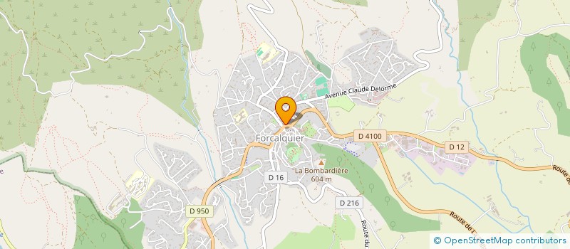 localisation de l'entreprise LE RELAIS DES DEUX LIONS  FORCALQUIER