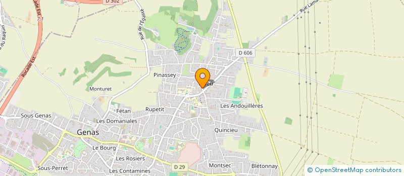 localisation de l'entreprise LE RELAIS DES TROIS CHASSEURS  GENAS