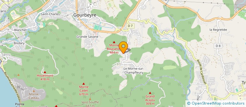 localisation de l'entreprise LE RELAIS DU BASSIN BLEU à GOURBEYRE