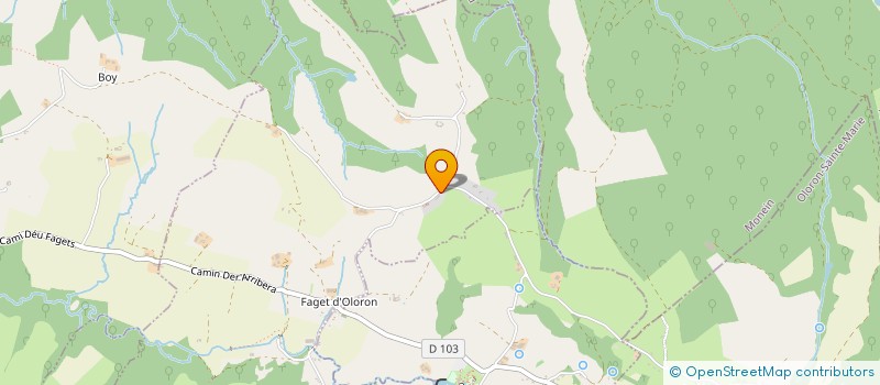 localisation de l'entreprise LE RELAIS DU FAGET  OLORON-SAINTE-MARIE