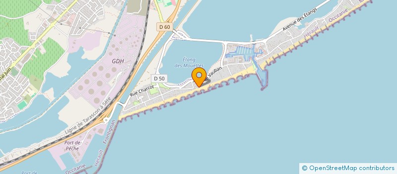 localisation de l'entreprise LE REMONTANT à FRONTIGNAN