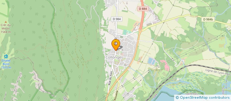 localisation de l'entreprise LE RENDEZ-VOUS DES GOURMETS  COLLONGES