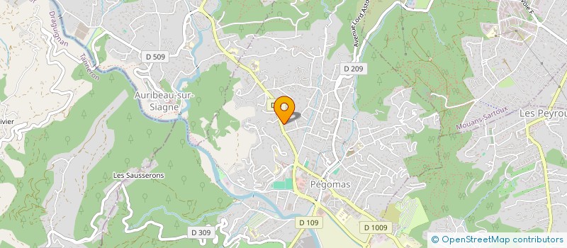 localisation de l'entreprise LE REPAIRE  PEGOMAS