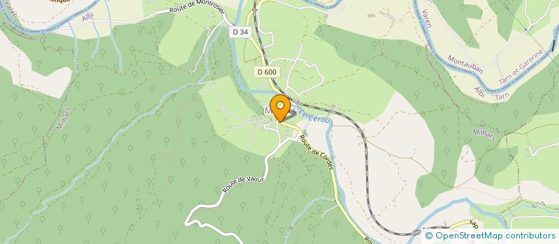 localisation de l'entreprise LE REPERE à SAINT-SULPICE-LA-POINTE