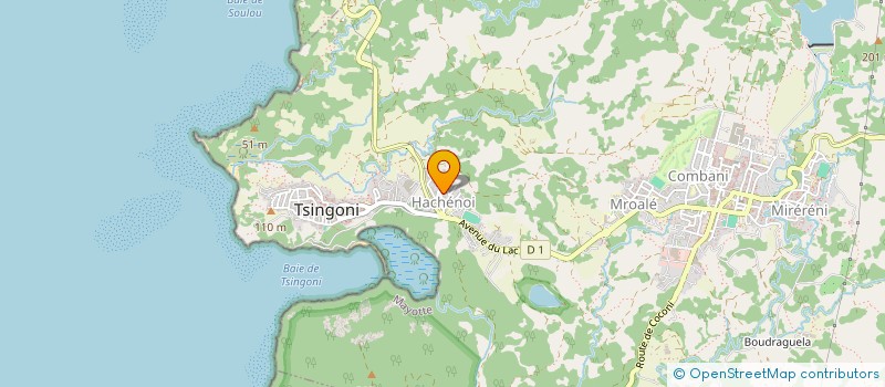 localisation de l'entreprise LE RESTO DU MONT à TSINGONI