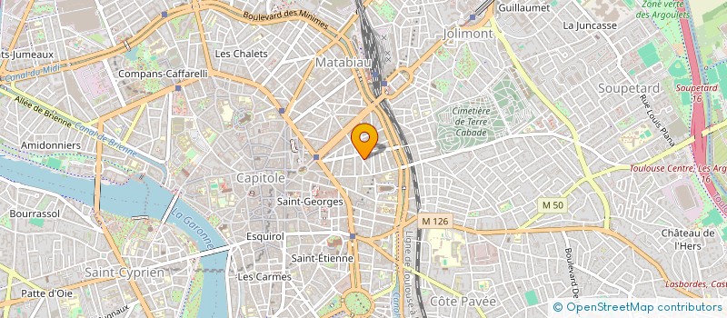 localisation de l'entreprise LE ROCHER DE LA VIERGE à TOULOUSE