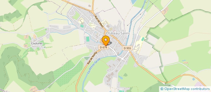 localisation de l'entreprise LE ROSEAU PENSANT  CHATEAU-SALINS