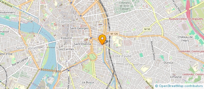 localisation de l'entreprise LE ROTISSEUR à TOULOUSE