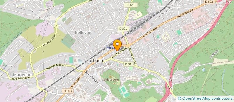 localisation de l'entreprise LE ROYAUME  FORBACH