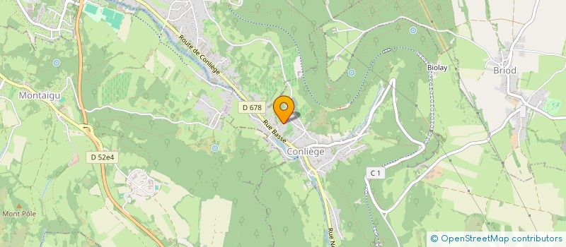 localisation de l'entreprise LE S BOUGAINS  CONLIEGE