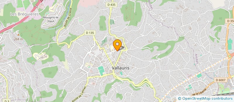 localisation de l'entreprise LE S DISCOUNT à VALLAURIS