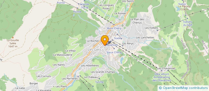 localisation de l'entreprise LE SABAUDIA à LES GETS