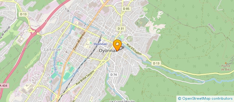 localisation de l'entreprise LE SAINT LEGER à OYONNAX