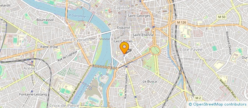 localisation de l'entreprise LE SALIN à TOULOUSE