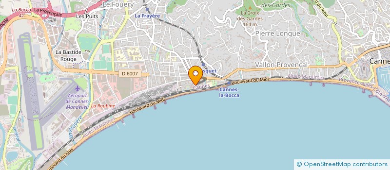 localisation de l'entreprise LE SALKO à CANNES