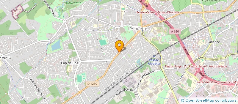 localisation de l'entreprise LE SALON  PESSAC