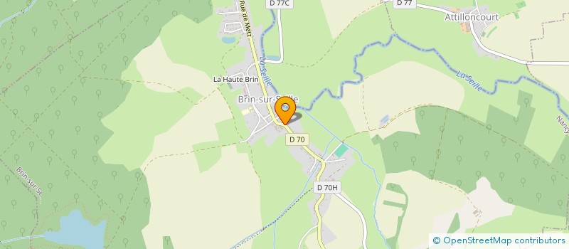 localisation de l'entreprise LE SALON  BRIN-SUR-SEILLE