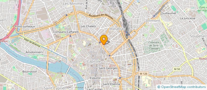 localisation de l'entreprise LE SAPHIR à TOULOUSE