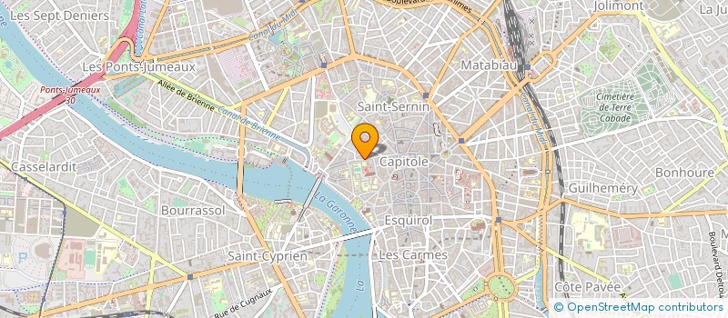 localisation de l'entreprise LE SAUVAGE INTEGRAL à TOULOUSE